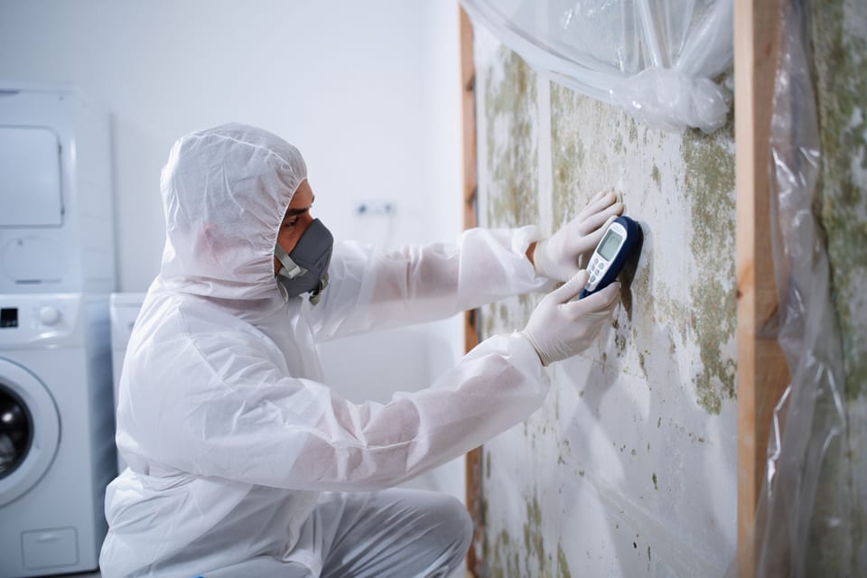 Mold remediation in Boulder